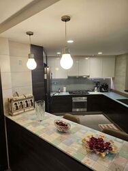Parkshore (D15), Condominium #571179291